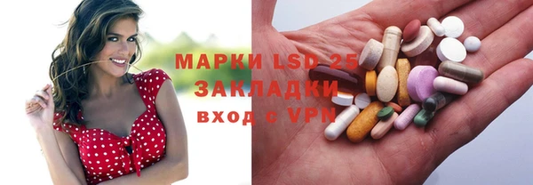 гидропоника Алзамай