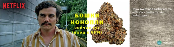 гидропоника Алзамай