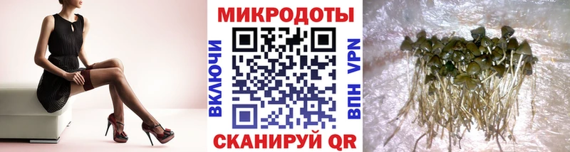 цены   Дзержинский  Псилоцибиновые грибы прущие грибы 